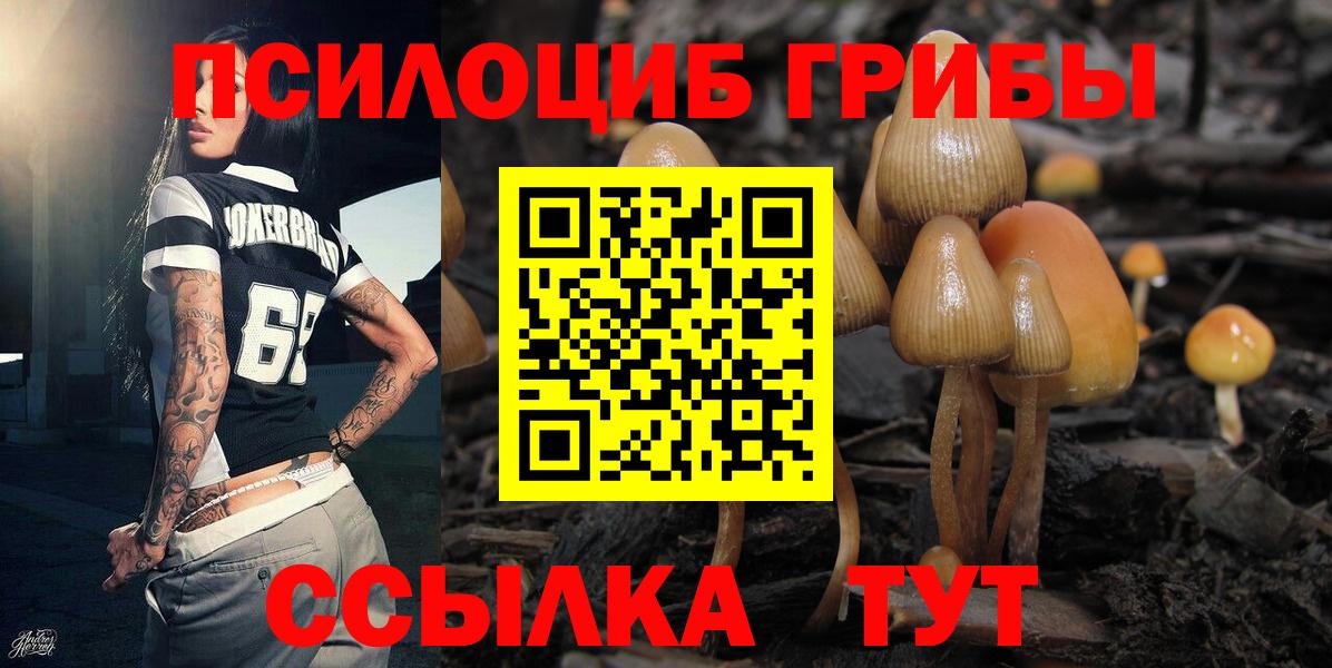 Нурлат  Псилоцибиновые грибы MAGIC MUSHROOMS  где купить   Вход с VPN 
