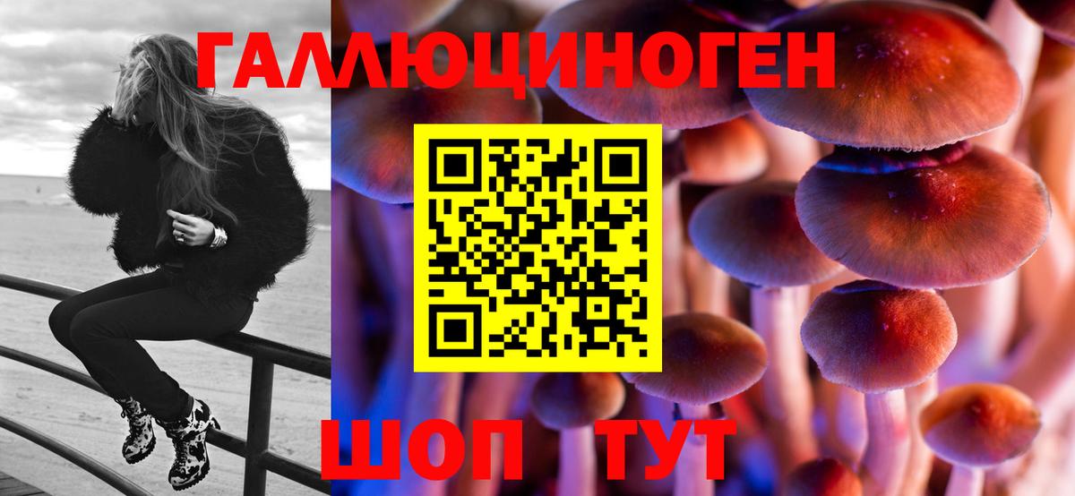 Псилоцибиновые грибы Psilocybe Нурлат
